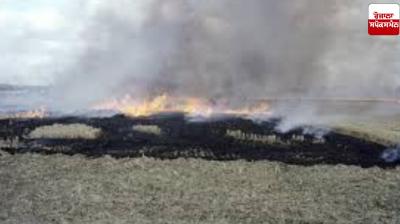 266 cases registered for stubble burning in Punjab, fine of Rs 17 lakh imposed