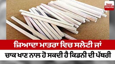 An equal amount of gray or charcoal food is designed as kidney stone Health News in punjabi 