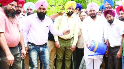 Sadhu Singh Dharamsot During Planting Plants