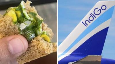 IndiGo passenger claims screw found in Sandwich