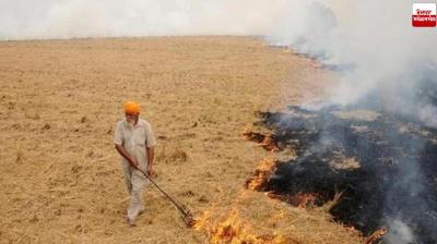 punjab stubble burning