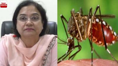 Dengue cases increased in Ludhiana