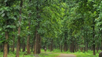 Image For Representational Purpose Only 