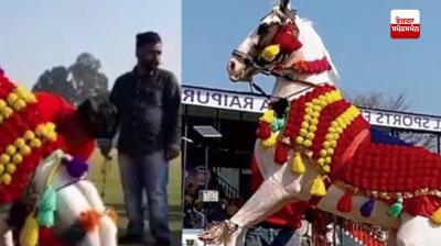 mini-olympics-ancient-and-heritage-games