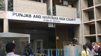 Punjab Haryana High Court 