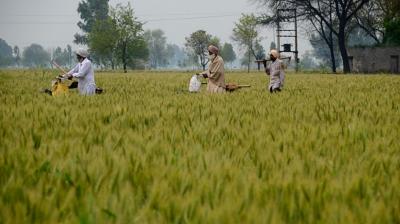 'Farm Graduate' as a Friend of Farmers, 