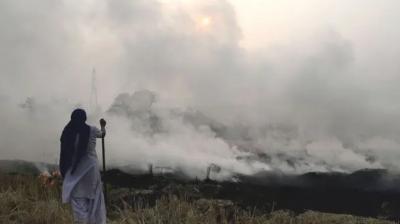 9 cases of stubble burning were reported in Punjab on the first day, the report revealed