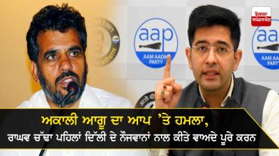 NK Sharma - Raghav Chadha