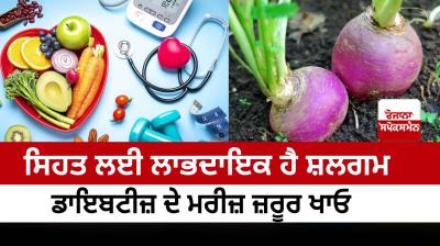  Turnip is useful for health, diabetic patients must eat it