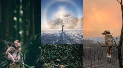 Best nature photography from sony world photography awards 2020