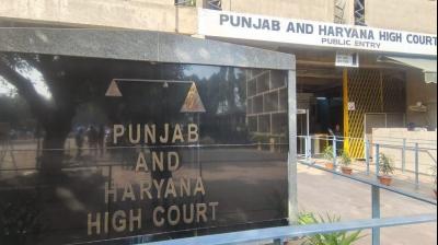 The court allowed a girl to have an abortion at 12 weeks Chandigarh News in punjabi 