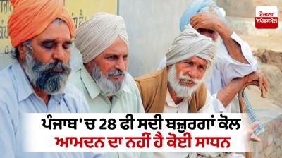 28 percent of the elderly have no means of income in Punjab News 