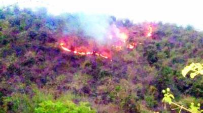 The fire started wrapping up 125 acres of forest area