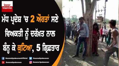 Man, cousin sisters tied to tree and thrashed in Dhar district, 5 held