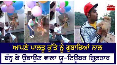 The dog was tied up with a balloon and blown into the air, Youtube was arrested.