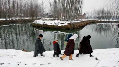 Kashmir Cold