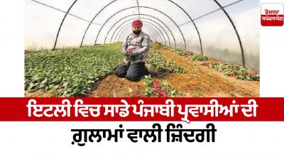 Slave life of our Punjabi immigrants in Italy Editorial