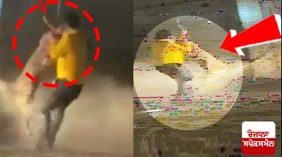 Leopard attack on rescue team, 4 injured including SHO