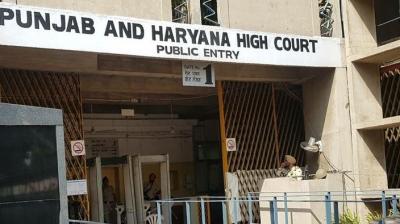 Punjab Haryana High Court 