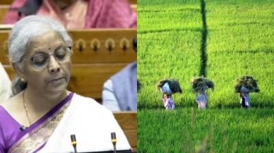 FM Nirmala Sitharaman 