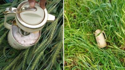 BSF recovered 810 grams of heroin from Bhorupal in Amritsar