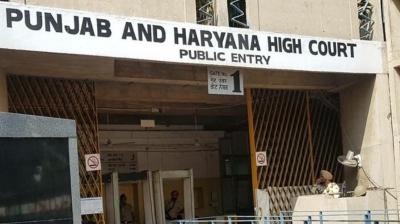 Punjab Haryana High Court 