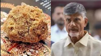 CM Chandrababu Naidu