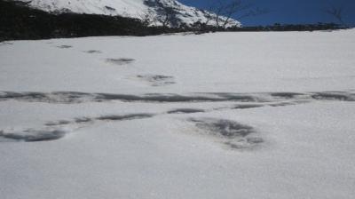 Footprints of Snow Man