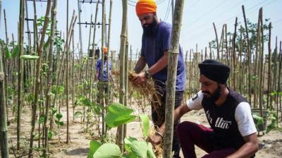 Guru Nanak forest set up in Kasur 