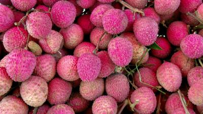 Litchi 
