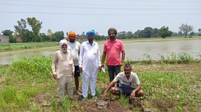 2309 abandoned borewells plugged in the State