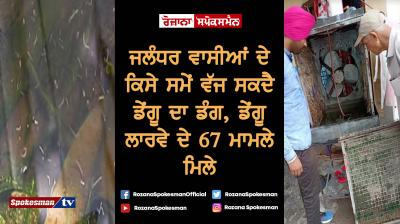 67 cases of dengue larvae detected in Jalandhar