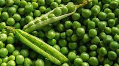 Peas