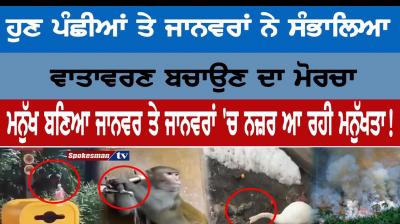 Animals save environment