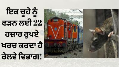 Railway department is spending Rs 22,000 to Catch a rat!