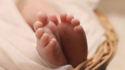 Portuguese doctor suspended after baby born without a face