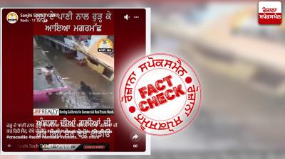 Fact Check Old video of Crocodile roaming in flood water shared in the name of ambala flood situation