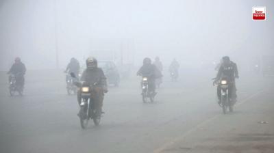 3 people died due to cold in Patiala latest news in punjabi