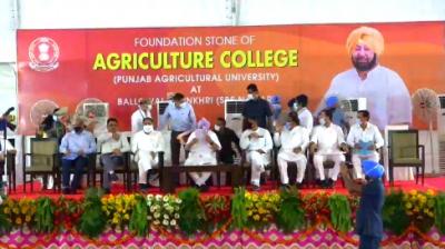 PAU College of Agriculture