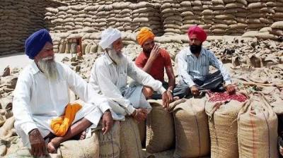 Wheat procurement 
