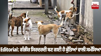 Dog problems have become a serious headache