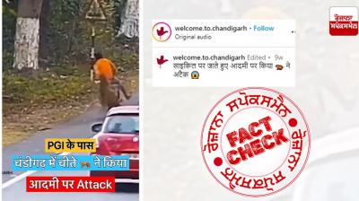 Fact Check Old Video Of Leopard Attack On Cycle Rider From Assam Viral As Recent In The Name Of Chandigarh
