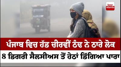Punjab Weather Update: Bone-chilling cold grips state