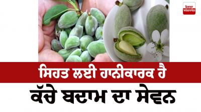 Consuming raw almonds is harmful to Health News