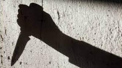  Grandson kills woman, son helps him dump pieces of her body