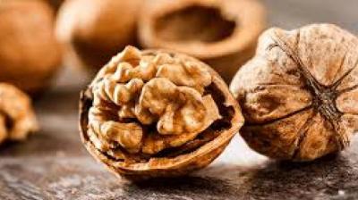 walnut