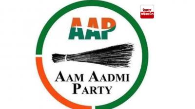 AAP logo 