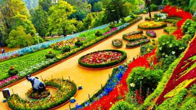 ooty