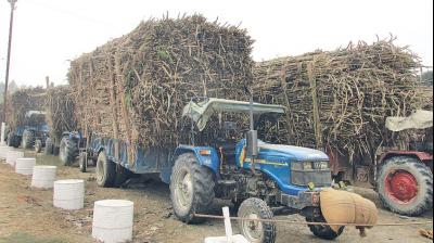 Betting of meetings between the-farmers and the mill management committee
