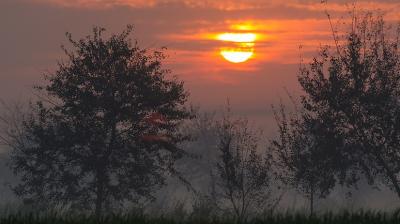 Punjab Weather Update